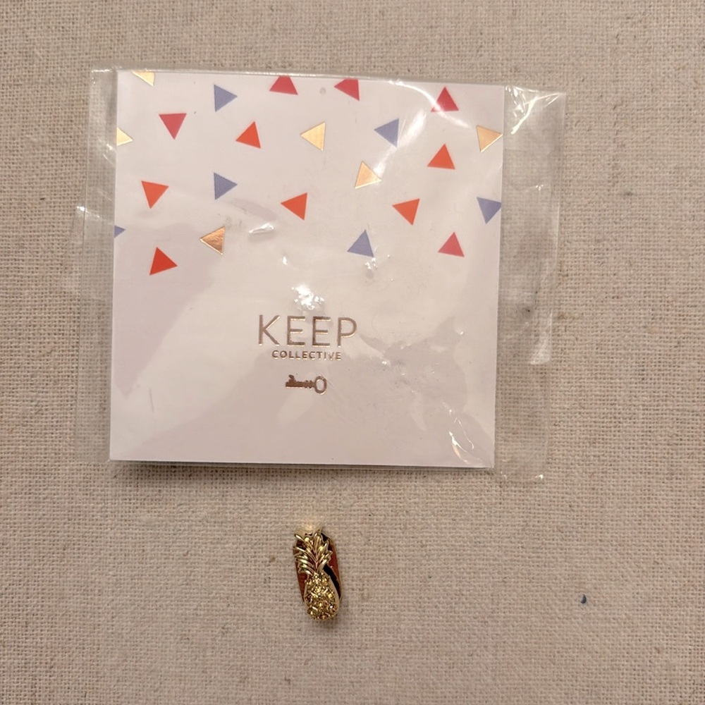 KEEP Collective Pave Pineapple Slider Charm